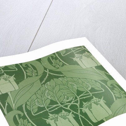 Floral pattern by Harry Napper