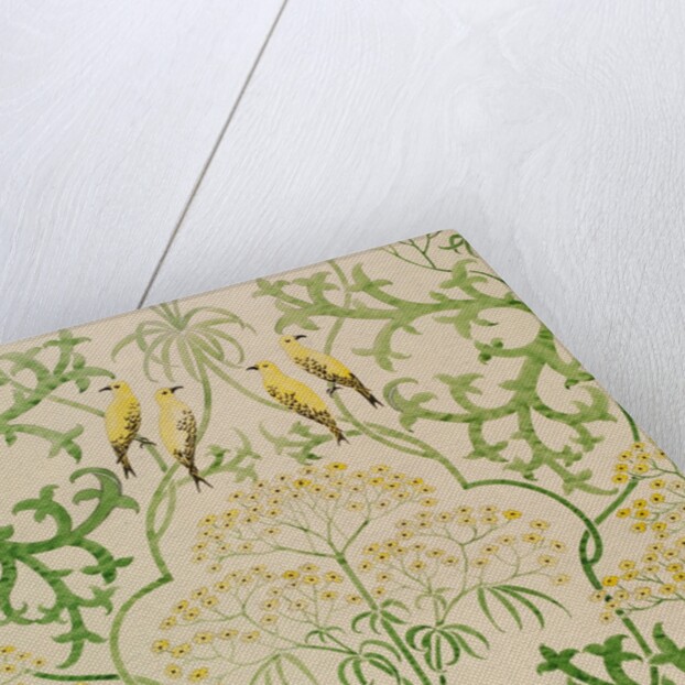Fool's Parsley wallpaper design by Charles Francis Annesley Voysey