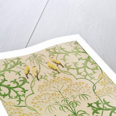 Fool's Parsley wallpaper design by Charles Francis Annesley Voysey