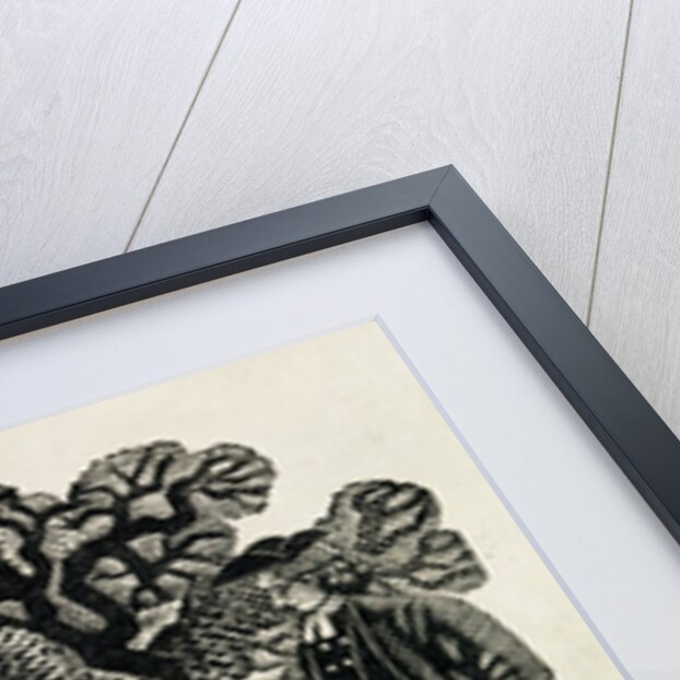 Illustration by Eric Ravilious