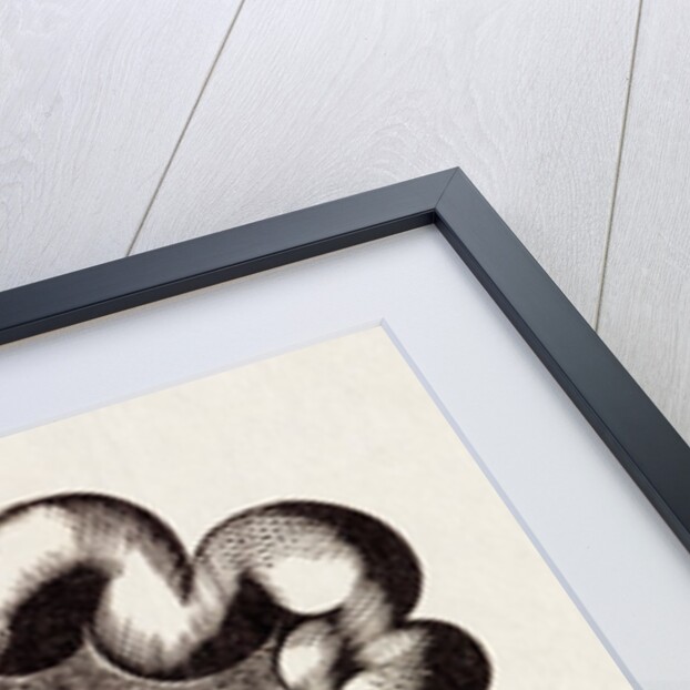 Shadow of small plane falling on the world by Eric Ravilious