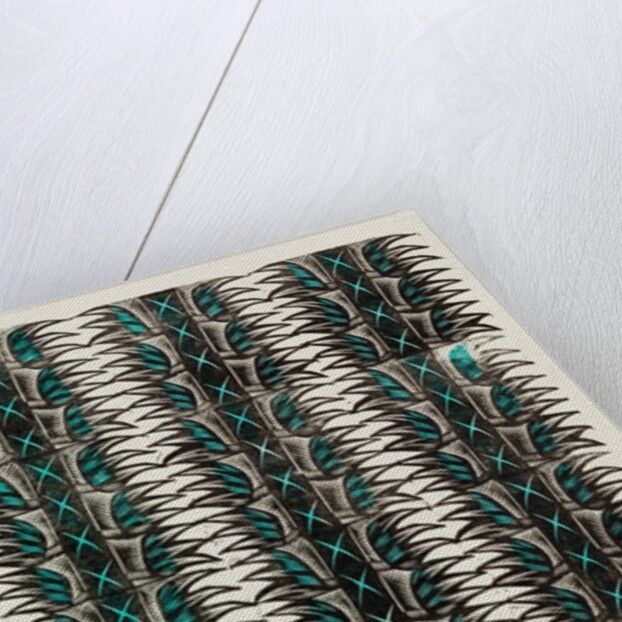 Endpaper by Eric Ravilious