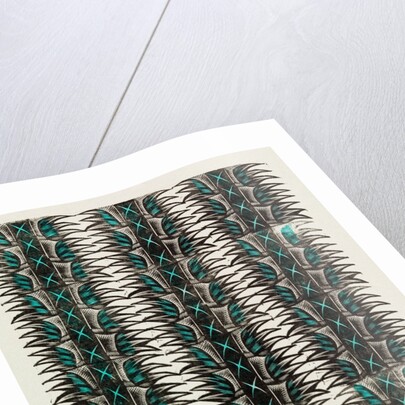 Endpaper by Eric Ravilious