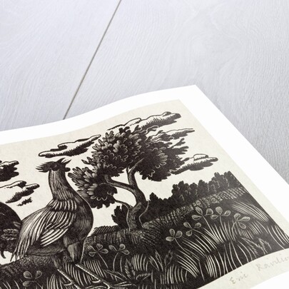 Chanticleer by Eric Ravilious