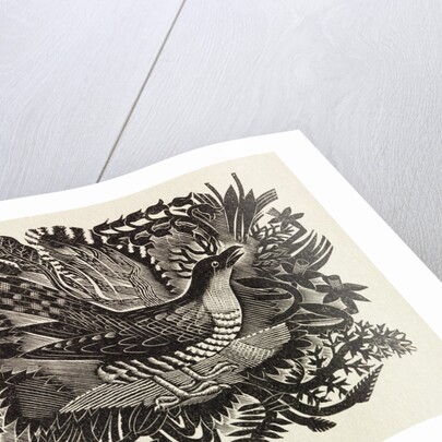 Spring by Eric Ravilious