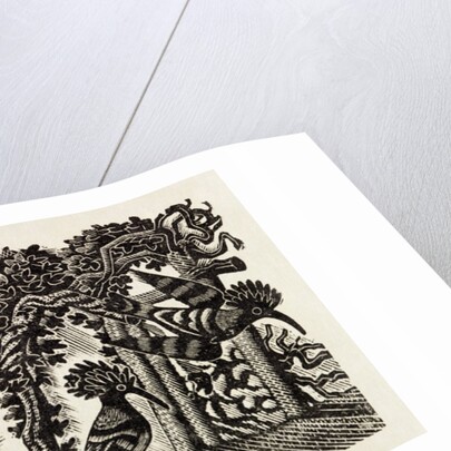 Illustration by Eric Ravilious