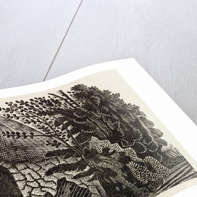 Illustration by Eric Ravilious