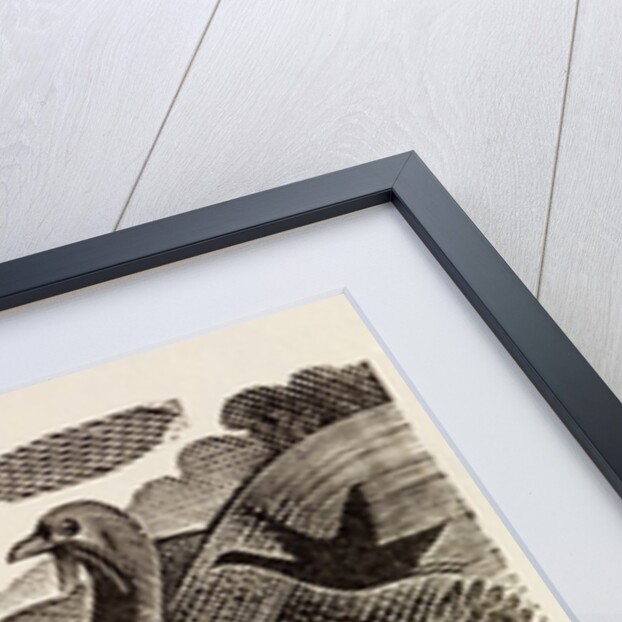 Illustration by Eric Ravilious