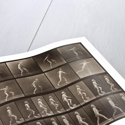 Man walking and throwing discus by Eadweard Muybridge