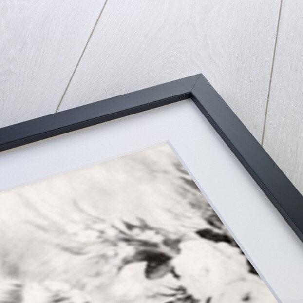 Princess Margaret posing at Buckingham Palace by Cecil Beaton