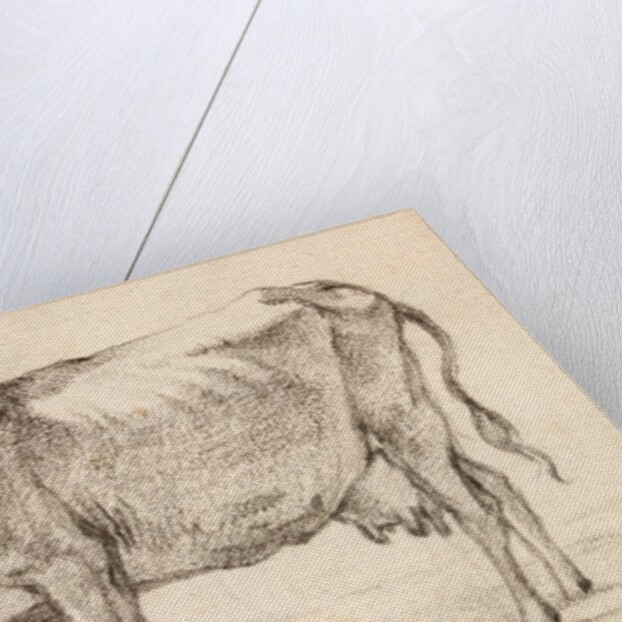 Cow walking towards the left by Paulus Potter
