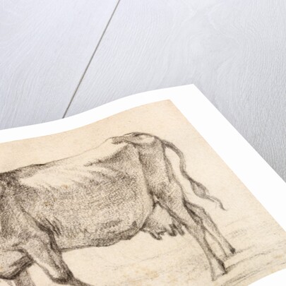 Cow walking towards the left by Paulus Potter