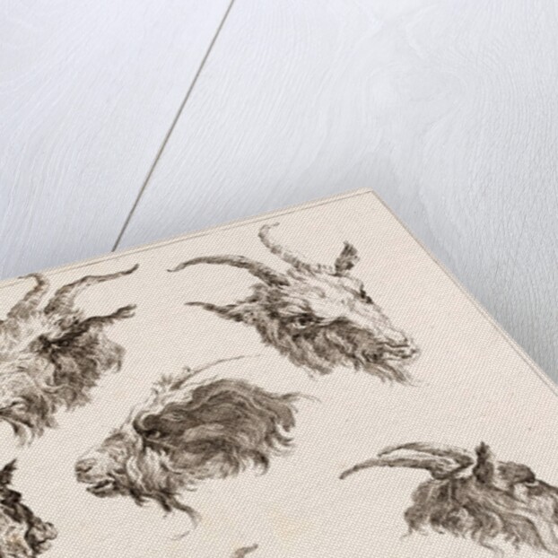Goat from different angles by Unknown
