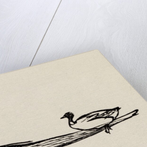 A B C Lear Alphabet by Edward Lear