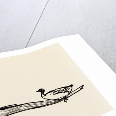 A B C Lear Alphabet by Edward Lear