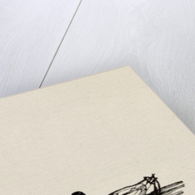 A B C Lear Alphabet by Edward Lear