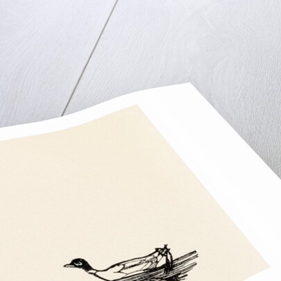 A B C Lear Alphabet by Edward Lear