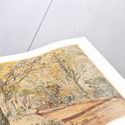 Beech Avenue, Lasham by Thomas Hennell