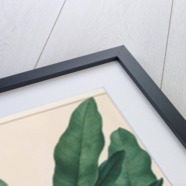 Still life study of flowers by Johann Knapp