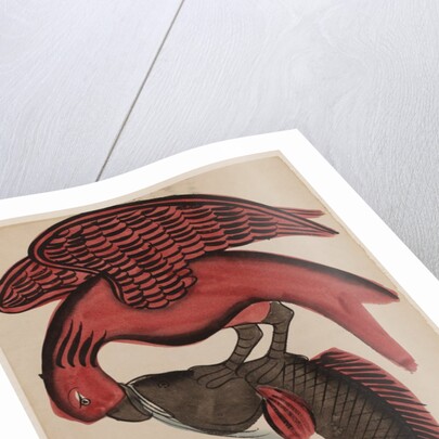 Eagle holding a fish by Unknown