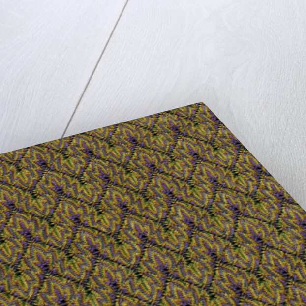 Shawl in yellow, green and purple by Unknown