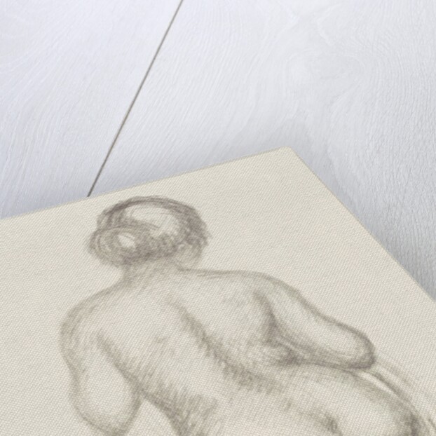 Female nude by Aristide Maillol