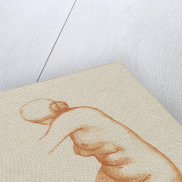 Female nude by Aristide Maillol
