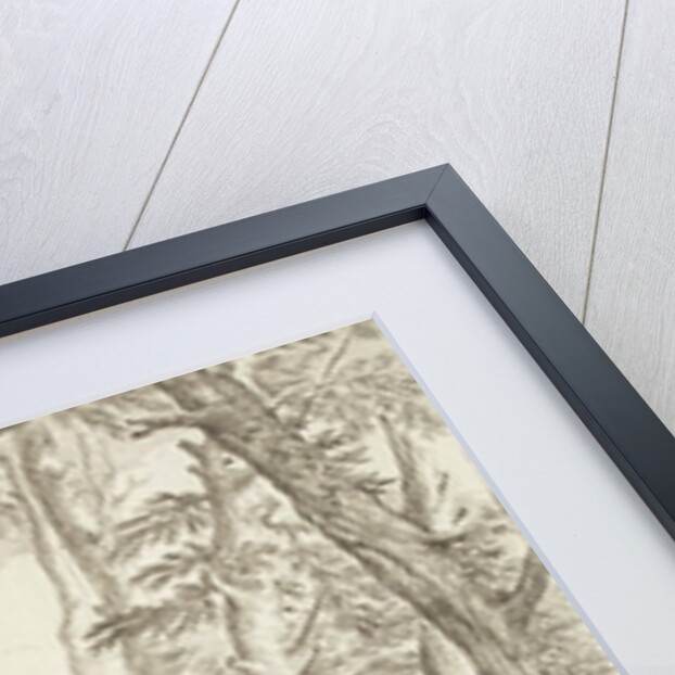 Diogenes casting away his bowl by Salvator Rosa