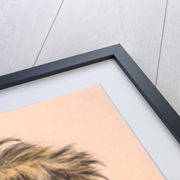 H.O. Wills caricature by George Harold Cooke