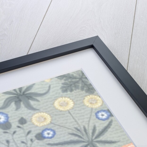 Daisy wallpaper by William Morris