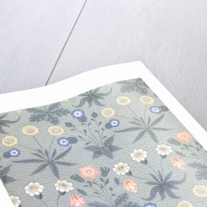 Daisy wallpaper by William Morris