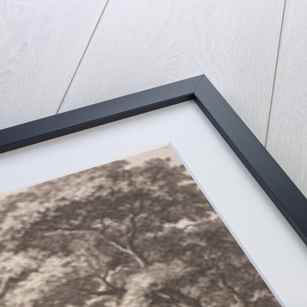 The Mill by Antonie Waterloo