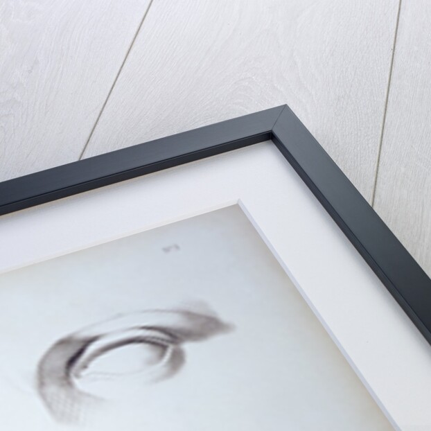 Cours Préparatoire, depicting images of eyes by Anonymous