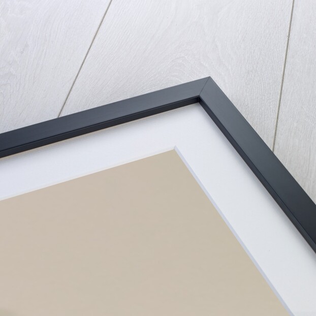 Robe Empire peau de Cygne by Boue Soeurs