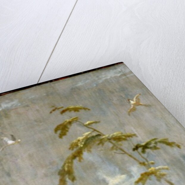 A Chinese Empress in a Chariot by Robert Robinson