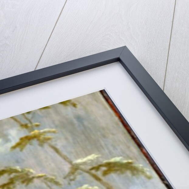 A Chinese Empress in a Chariot by Robert Robinson