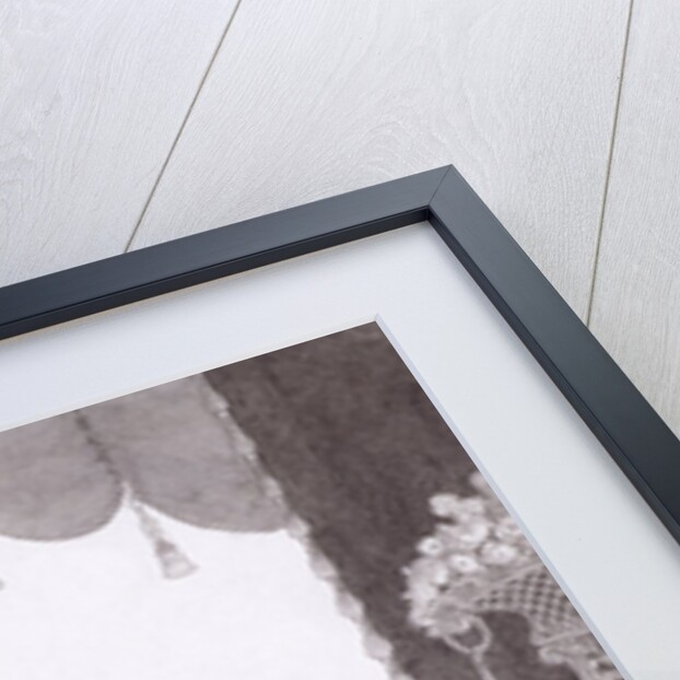 The lady with the monkey by Aubrey Vincent Beardsley