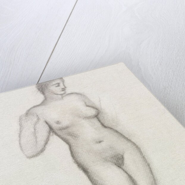 Standing nude by Aristide Maillol
