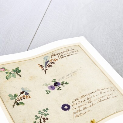 Design for embroidery on men's waistcoats by Jean Pillement
