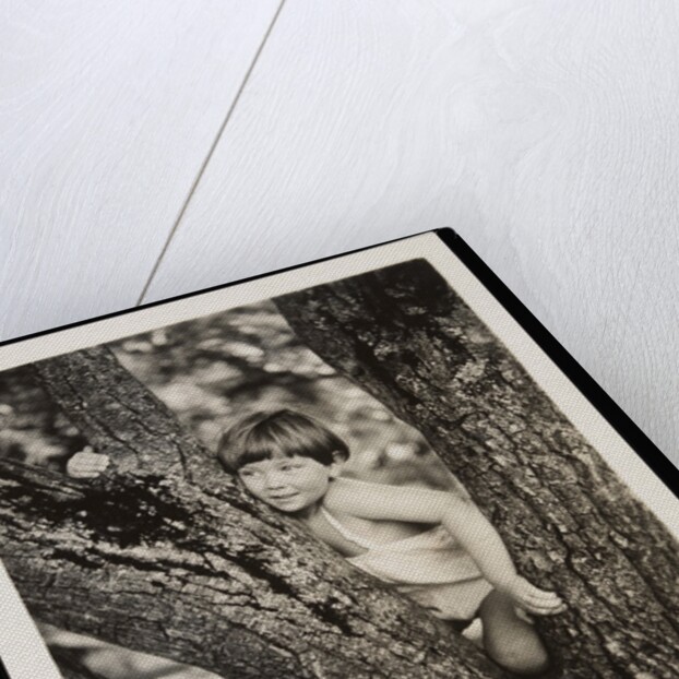 Young boy sitting in tree by Curtis Moffat