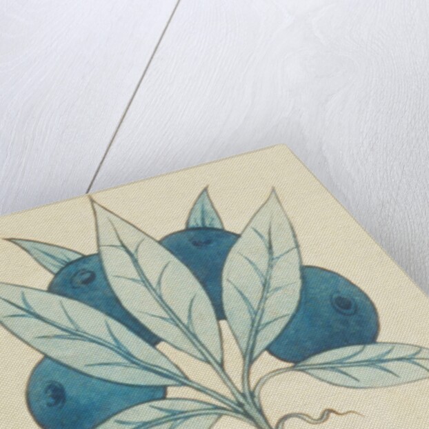 Design of tile by William de Morgan