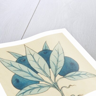 Design of tile by William de Morgan