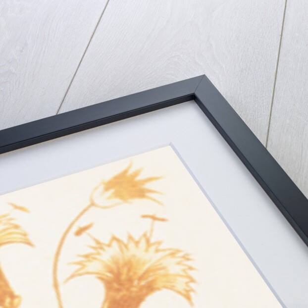 Design of tile by William de Morgan