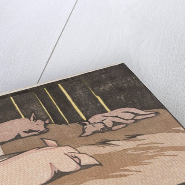 The Sleeping Pigs by Arabella Louisa Rankin