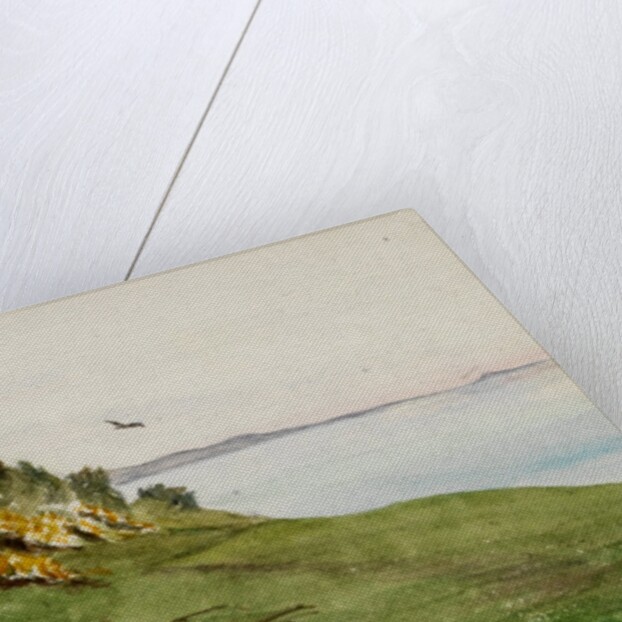 Coastal path with lone bird in flight by May Morris