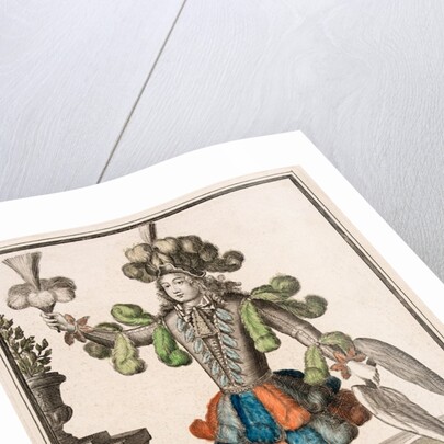 Habit de Plumassier by Nicolas de Larmessin