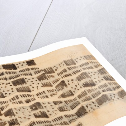 Design for a printed textile by Paul Nash