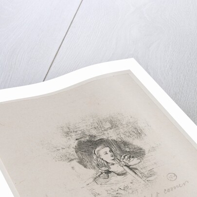 Illustration from Through the Looking Glass and what Alice found there by Dalziel Brothers