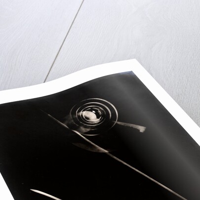 Photogram IV by László Moholy-Nagy