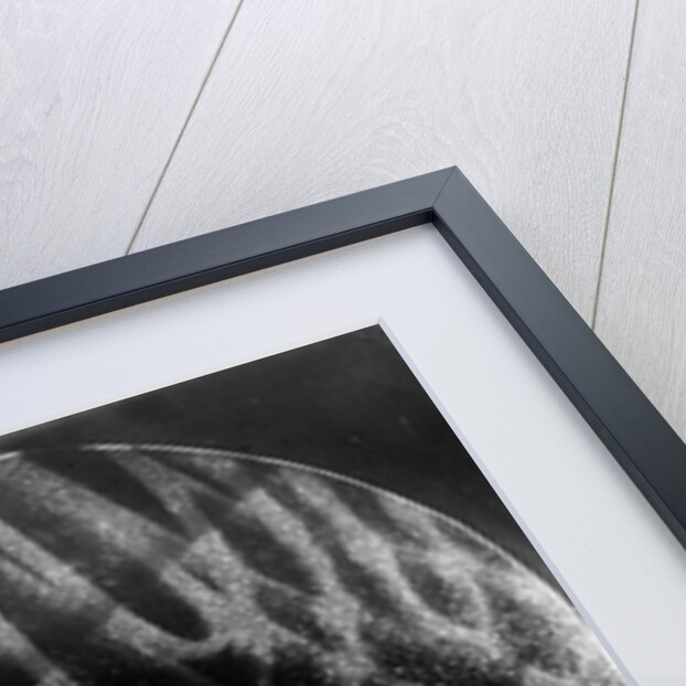 Fotogramm of a complex area of white rectangles by László Moholy-Nagy